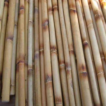 Rattan & Bamboo Canes